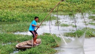 Pemanfaatan Lahan Rawa Lebak Sumbang PAD OKI Rp6,8 Miliar