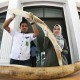 Pelaku Pembunuhan Gajah di Aceh dan Riau Diduga Satu Komplotan