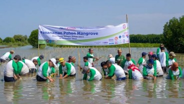 Bekasi Fajar Tanam 12.000 Pohon Mangrove