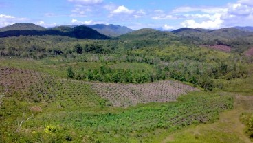 Terdampak Kemarau Panjang, Inhutani III Diperkirakan Merugi Tahun Ini