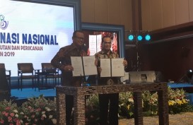 3 Kementerian Siap Wujudkan Pasar Ikan Internasional di Indonesia