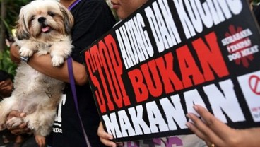 Solo Raya Tempat Pembantaian Anjing, Solusi Akhir Perlu Waktu