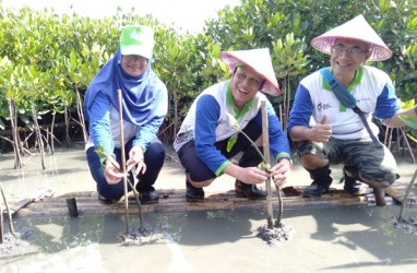 Mangrove Edupark, Upaya Pertamina Selamatkan Pesisir Semarang