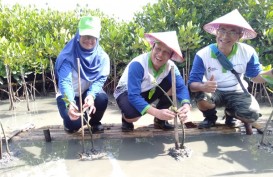 Mangrove Edupark, Upaya Pertamina Selamatkan Pesisir Semarang