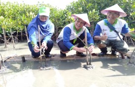 Mangrove Edupark, Upaya Pertamina MOR IV Perbaiki Pesisir Semarang