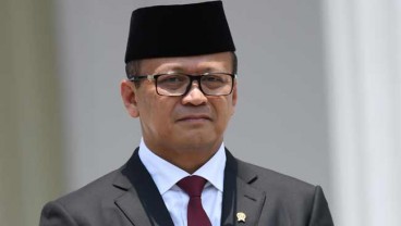 Ini Langkah Menteri Edhy Tekan Harga Pakan Ikan  