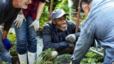 Jalan Kaki dan Berkebun Turunkan Risiko Kanker Prostat Hingga 50 Persen