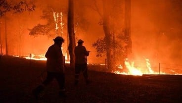 Hutan Australia Kebakaran, Asap Tebal Selimuti Sydney