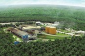 Eagle High Plantation Dapat Kredit Sindikasi Dua Bank BUMN