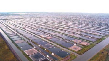 Reformasi Struktural Perlu Didukung Upaya Reindustrialisasi