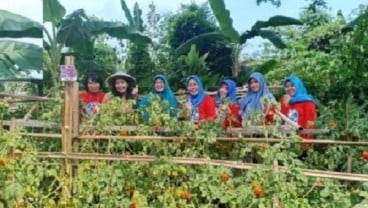 Program Wanita Matilda Tambah Lahan Produktif di Balikpapan