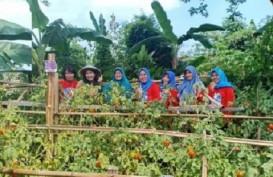 Program Wanita Matilda Tambah Lahan Produktif di Balikpapan