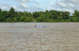 ENERGI TERBARUKAN : Memacu Kontribusi Pulau Seribu Sungai