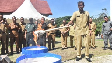 Di Luwu Utara, 4.046 Lembar Arsip Perangkat Daerah Dimusnahkan