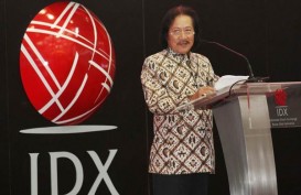 Punya 650 Anggota, AEI Dukung Penguatan Pasar Modal Indonesia