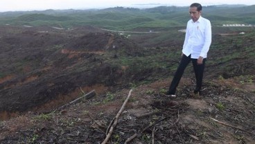 Jokowi: 2020, Gedung Mulai Dibangun di Ibu Kota Baru