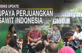 Begini Upaya Indonesia Perjuangkan Sawit di Pasar Global