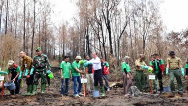 Kawasan Taman Wisata Alam Kawah Ijen Kembali Ditanami Pohon