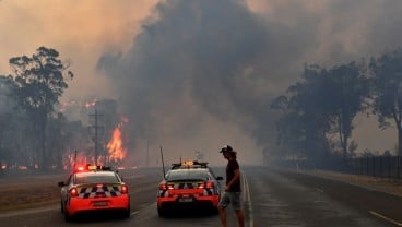 Suhu Udara Capai 45 Derajat, Sydney Dikepung Kebakaran Hutan