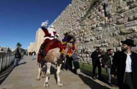 Dari Atas Unta, Sinterklas Bagikan Pohon Natal Gratis di Yerusalem