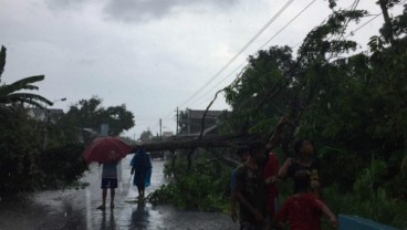 Hujan Es Landa Desa di Sleman, Pohon Tumbang Terjadi di Sejumlah Wilayah