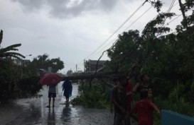 Hujan Es Landa Desa di Sleman, Pohon Tumbang Terjadi di Sejumlah Wilayah