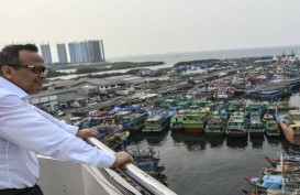 Edhy Prabowo: Belum Ada Keputusan Final Soal Ekspor Benih Lobster