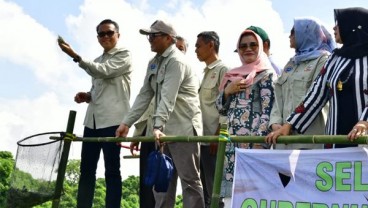 Sulsel Didorong Jadi Lokasi Diseminasi Budidaya Udang Windu