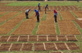 Tarif Cukai Hasil Tembakau Naik Mulai Tahun Depan