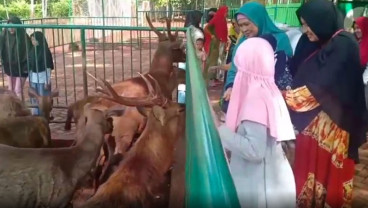 Tahura Sultan Alam di Mandiangin Diserbu Wisatawan