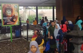 Objek Wisata di Kabupaten Garut Ramai saat Libur Tahun Baru