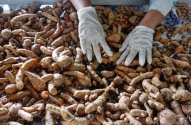 Cari Bahan Baku Jamu Alternatif, BPOM Akan Bentuk Satgas Khusus