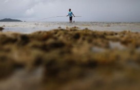Atasi Klaim Sepihak, Indonesia Harus Kuasai Laut Natuna