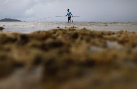 Perairan Natuna, Primadona yang Jadi Rebutan Banyak Negara