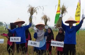 Kenaikan Nilai Tukar Petani Riau Tertinggi di Sumatra