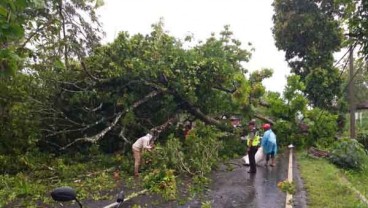 Gunungkidul Diterpa Hujan Angin, Banyak Fasilitas Umum Rusak