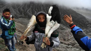 Bromo Bebas Kendaraan Bermotor 23 Januari hingga 25 Februari, Jadwal Ulang Tour Anda
