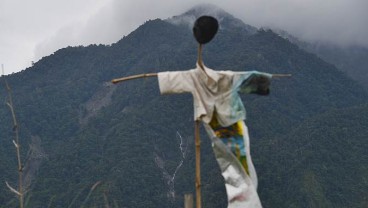 ‘Dipaksa’ Tokoh Papua Nilai Keabsahan Pepera 1969, MK Tidak Mau