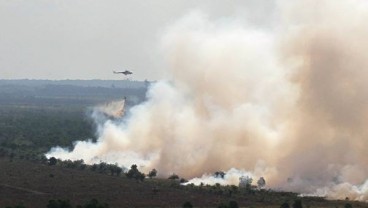 Riau Mulai Masuki Kemarau Fase Pertama, Waspada Karhutla