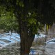 Percepatan Pemulihan Pasca Banjir, Cegah Ekonomi Regional Anjlok