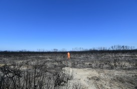 Di Balik 'Liarnya' Kebakaran Hutan Australia