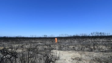 Di Balik 'Liarnya' Kebakaran Hutan Australia