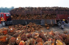 Gapki Sarankan Indonesia Jaga Pasar Minyak Sawit Asia Selatan