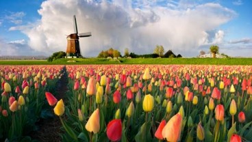 Overtourism, Belanda Hapus Sebutan Holland Mulai Tahun Ini