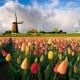 Overtourism, Belanda Hapus Sebutan Holland Mulai Tahun Ini