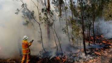 Korban Tewas Kebakaran Hutan Capai 28 Orang, PM Australia Minta Maaf