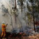 Korban Tewas Kebakaran Hutan Capai 28 Orang, PM Australia Minta Maaf