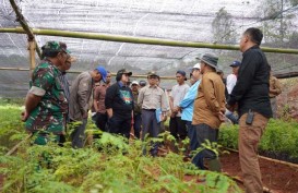 Menteri LHK: 225 Kebun Bibit Desa Siap Hijaukan Bogor dan Lebak