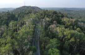 Pengembang Ingin Kepastian Masa Konsesi di Ibu Kota Baru