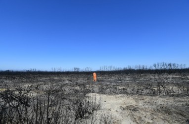 Insan Tenis Dunia Ramai-ramai Urunan Atasi Kebakaran Hutan Australia